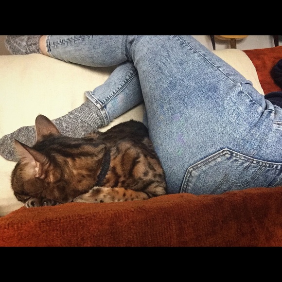 Meg (Canada) - Picture 4 of 5